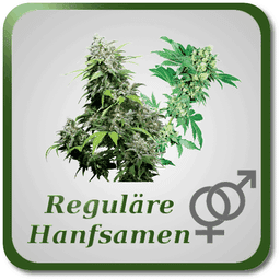 Reguläre Hanfsamen Reguläre Hanfsamen